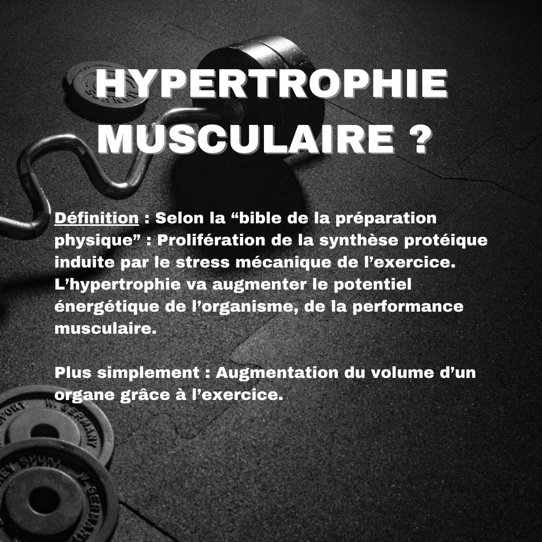 PROGRAMME HYPERTROPHIE MUSCULAIRE